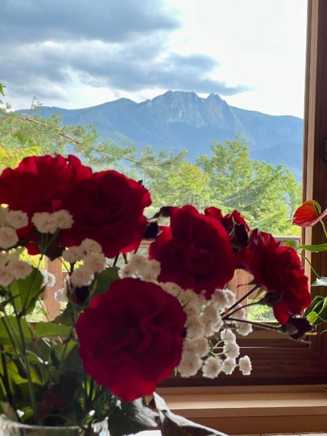 Domek Olczyski Zakopane Eksteriør bilde